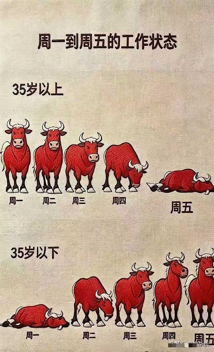 打工人的描述，相当形象啊～