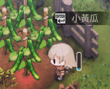 小睦种黄瓜。。。​