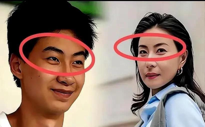 郭晶晶自己都想不到圈外还有一个和她长相极其神似的男孩！老公霍启刚经过多年的磨合