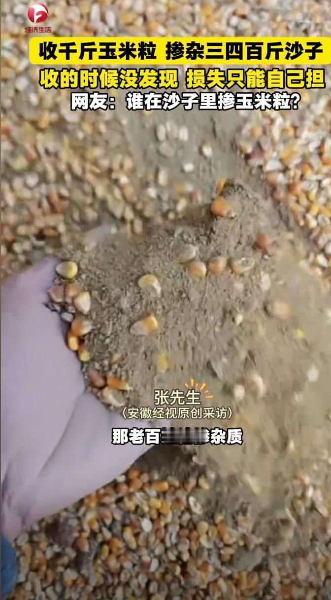 “太缺德了！”近日，江苏徐州，一男子下乡收玉米粒，称重时足足有1000斤，由于他