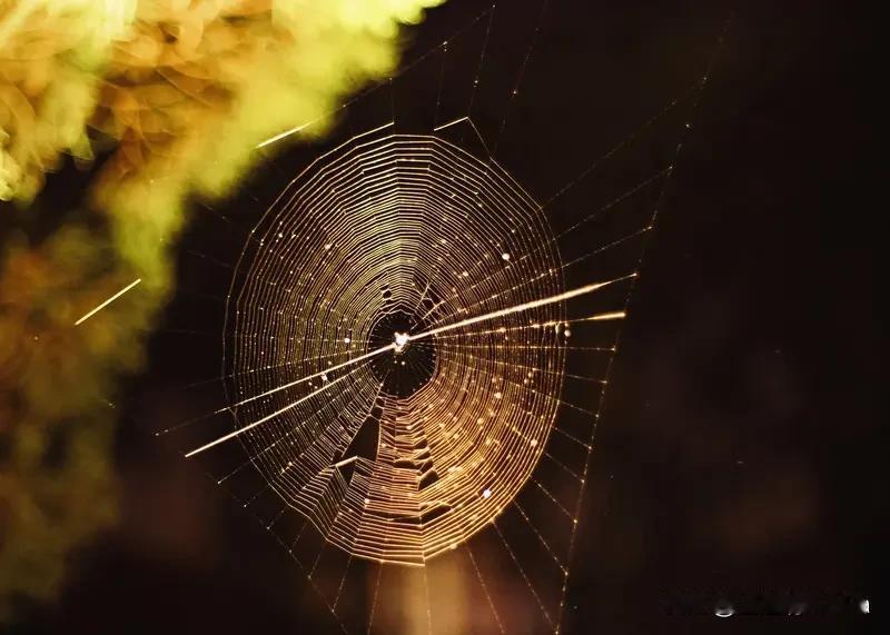 巨蟹座的“暗黑”缺点大揭秘！都说巨蟹座温暖又柔软，可他们的缺点也着实让人头疼。