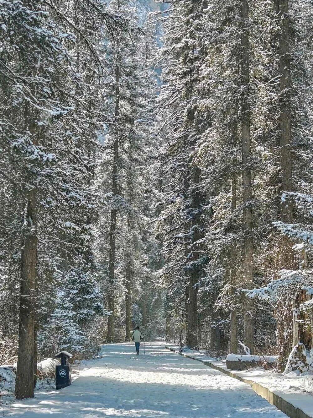 这里是静谧、纯净、被雪覆盖的原始仙境。少了人潮，多了份遗世独立的浪漫。西安出发高