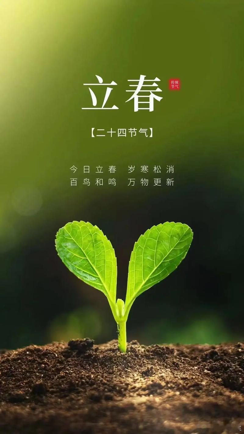 立春，一年的开始。天地间能量的转换，都在节气里。特别是冬末春初，更是巨大的轮回