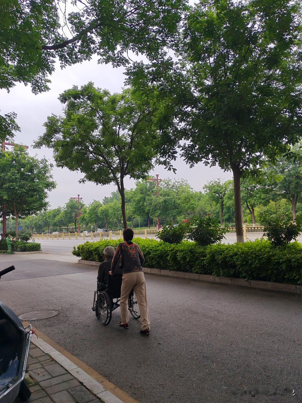 小老人养“老老人”难，有时候活的太长寿可能并不是一件好事，以前我不太理解，现在有