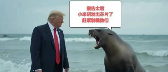 自主可控，真的太重要了就是说，命要掌握在自己手里。要么别人不敢对你下手，要么别