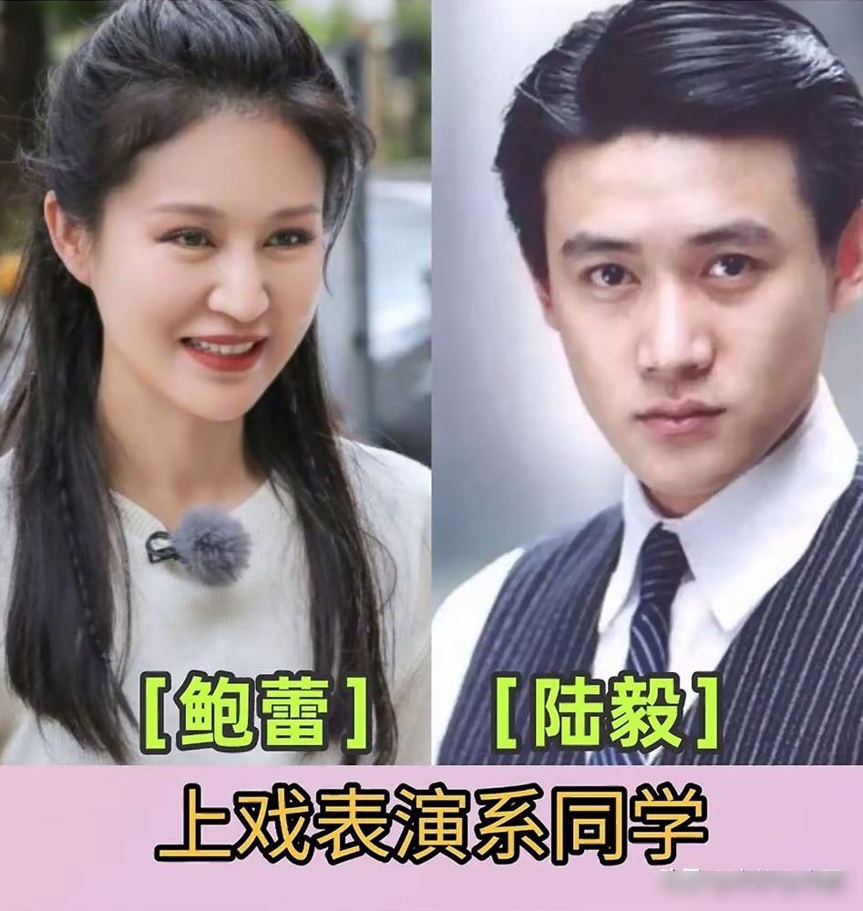 陆毅鲍蕾，夏雨袁泉，从校服到婚纱。听起来很美。媒体喜欢把这几对拎出来，当作娱
