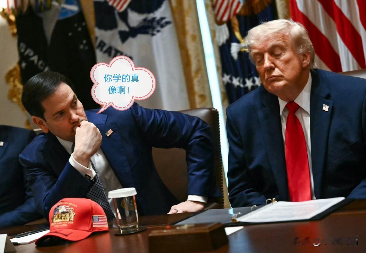 特朗普在内阁会议期间的“精彩表演”！正应了那句话：笑话人不如人啊！[捂脸哭]