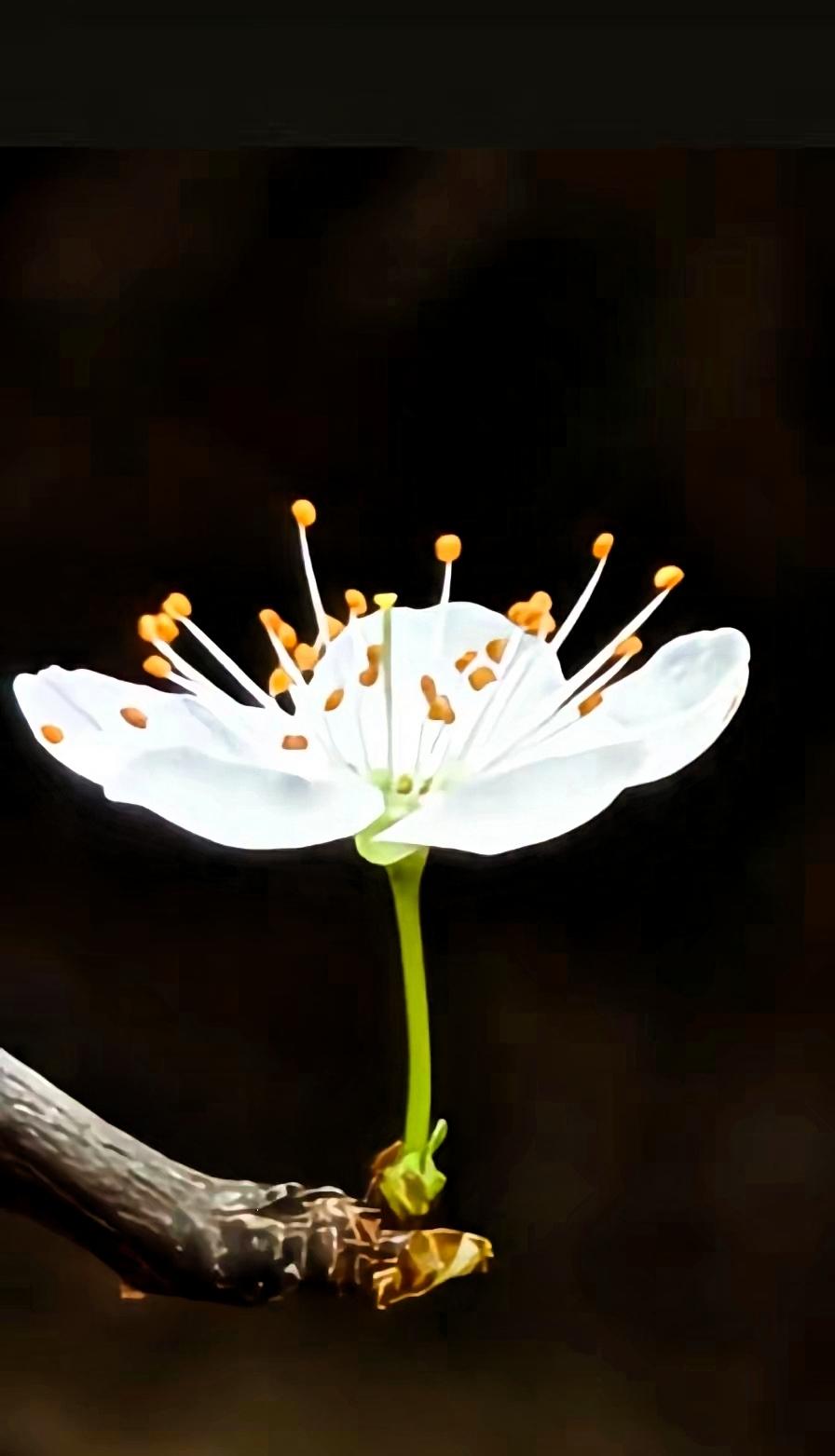 被这句话刺激到了：如果你有精致的衣服，而不穿，说明你的处境，配不上你的衣