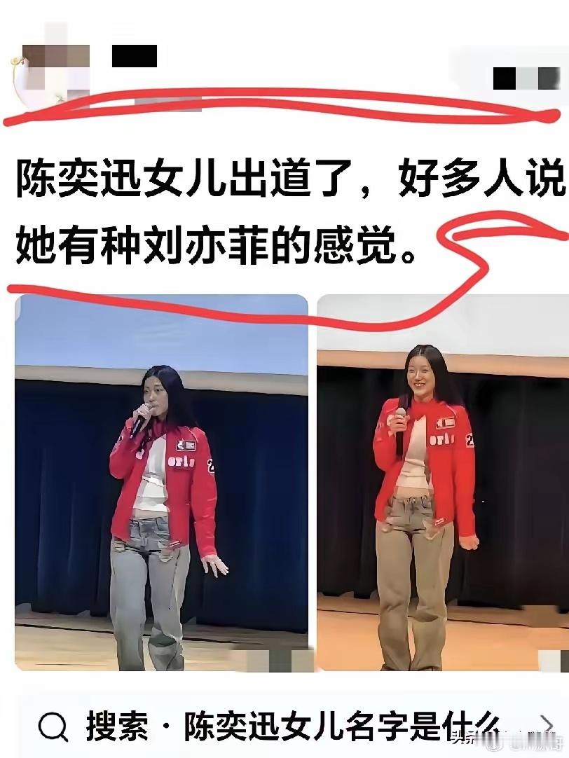 刘亦菲被黑得最惨的一次