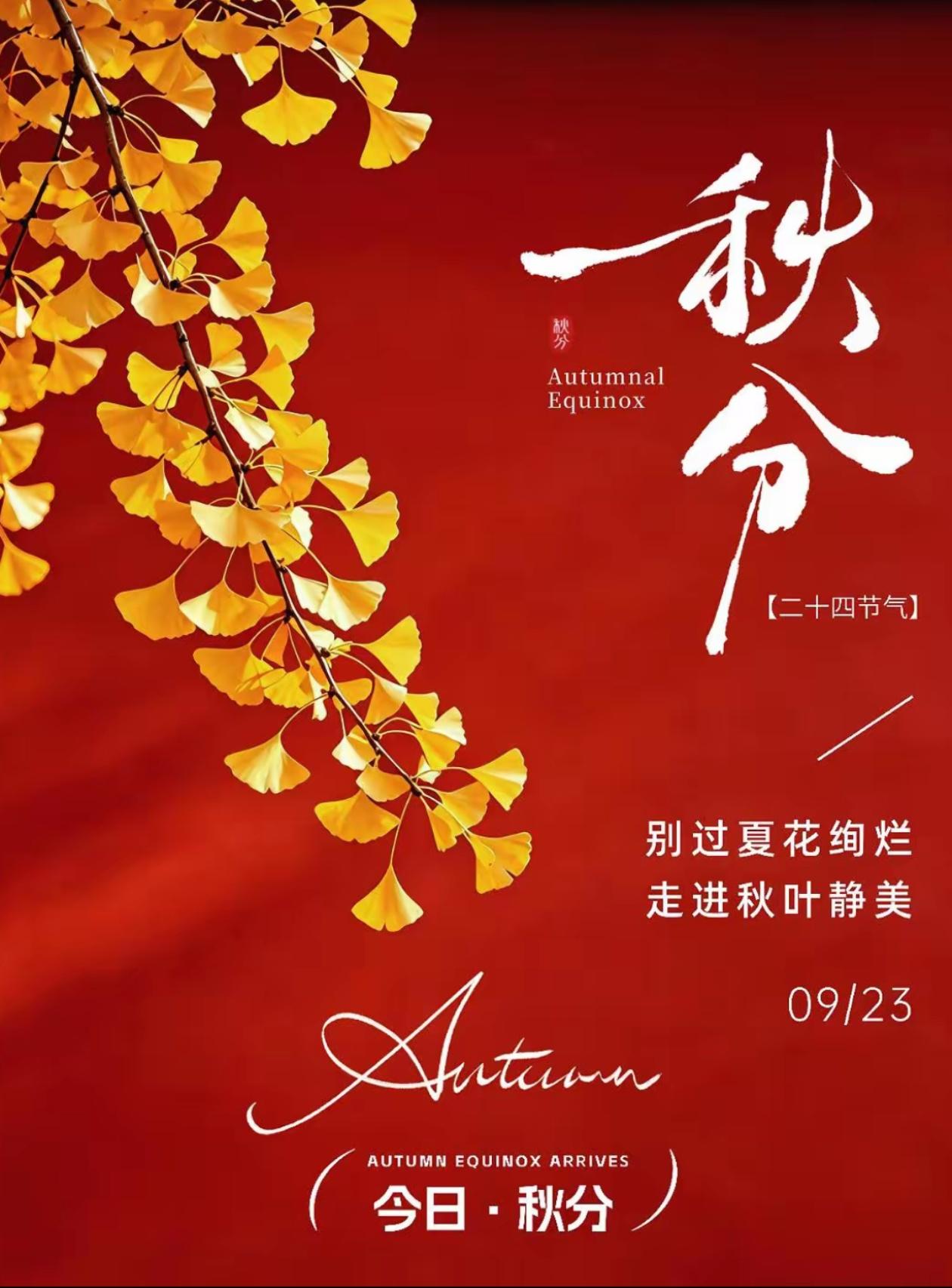 2026./9月23日，秋分吉祥，清风伴明月，日光月色两相和🌿