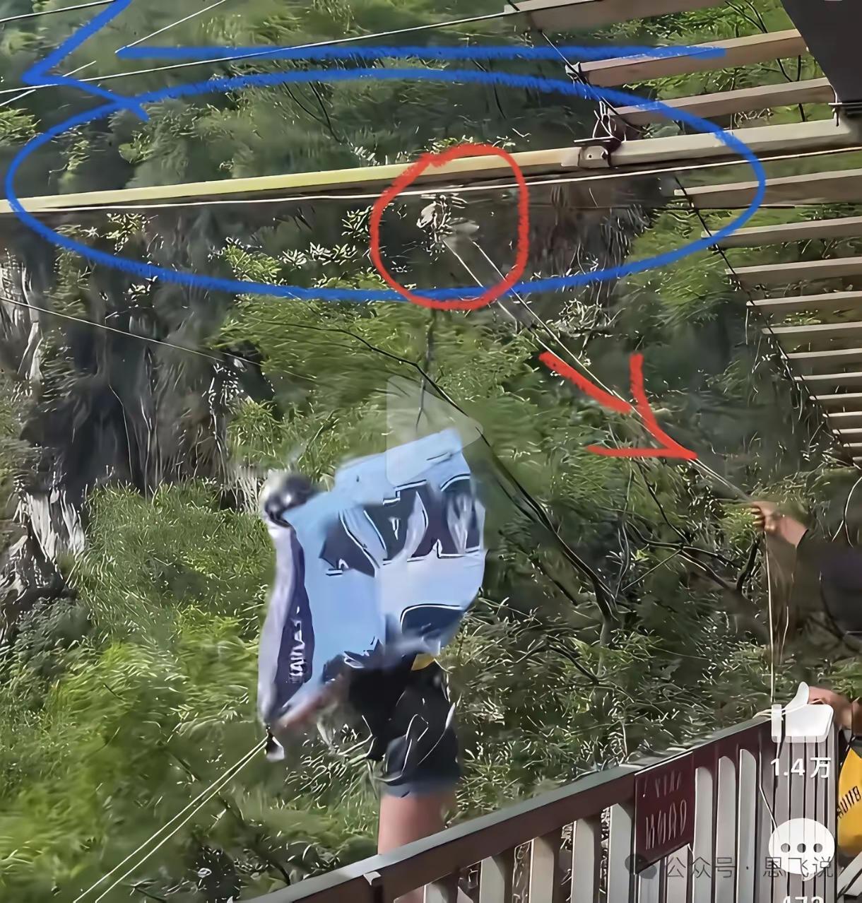 太让人愤怒又痛心了！这次女子悬崖秋千坠亡的真相让人后背发凉，并不是绳