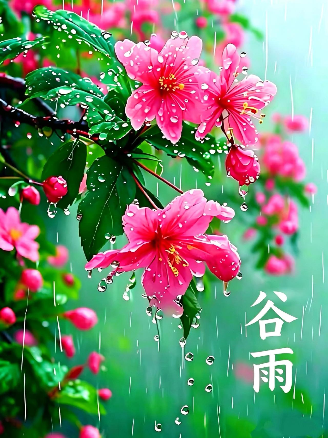 谷雨烟笼柳岸涨春池，丝雨沾衣润碧枝。水漾空蒙浮晓雾，苔生浅渚缀新诗。闲