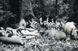 1956年解放军一支队伍在云南原始森林深处，发现一群衣不蔽体的男男女女.....