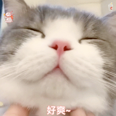 分享一个百度上看到的表情包​​​