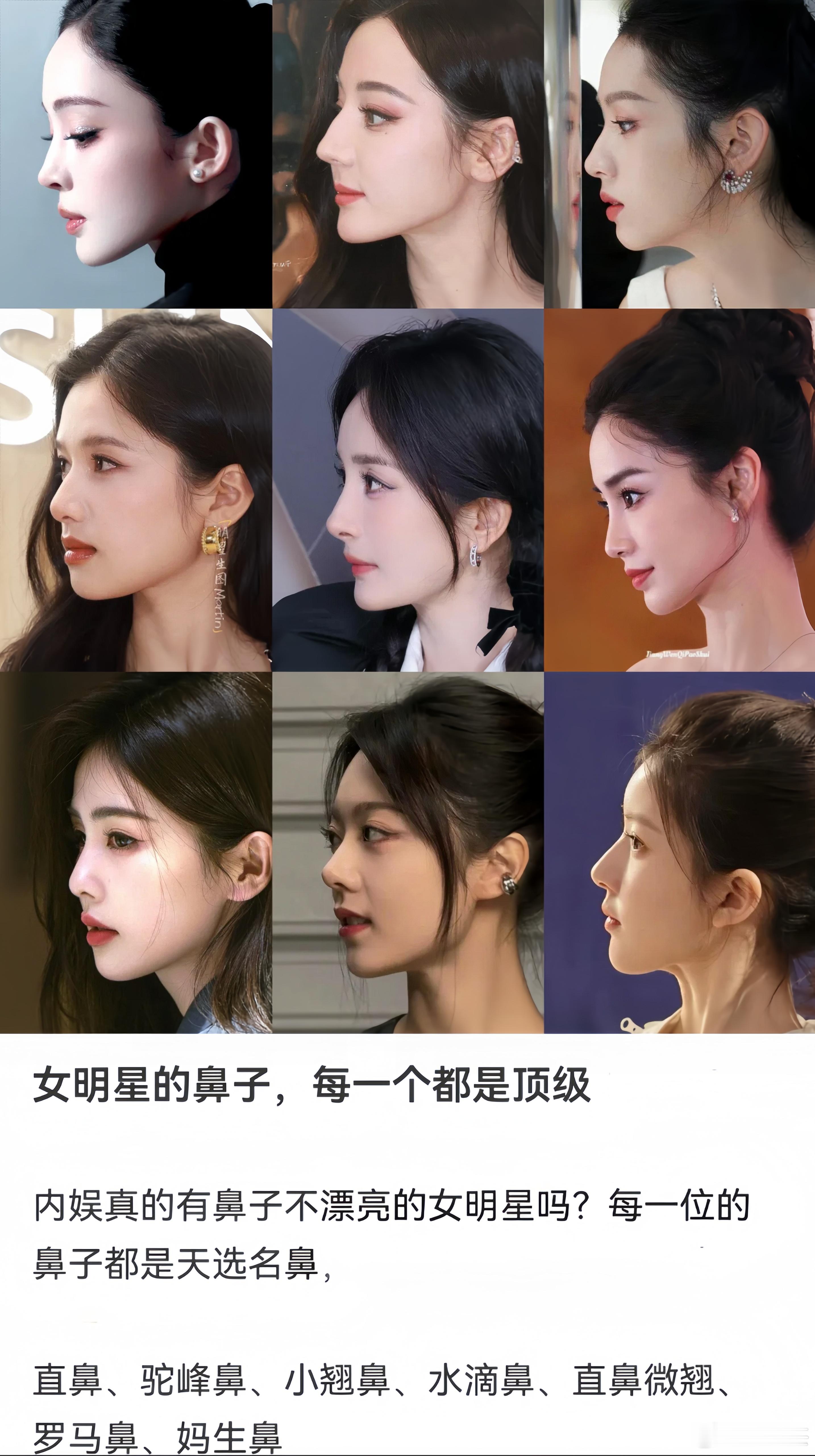 女明星的侧脸（鼻子）中，哪一款最戳中你的审美？