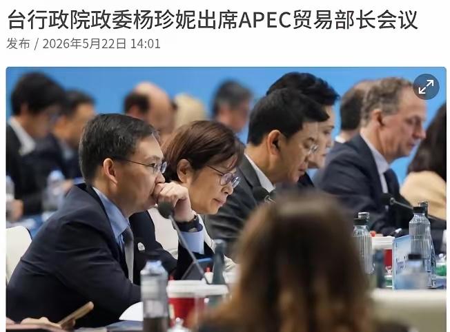 意外！民进党当局接受“一个中国”定位，出席APEC峰会！五月二十二日，APE