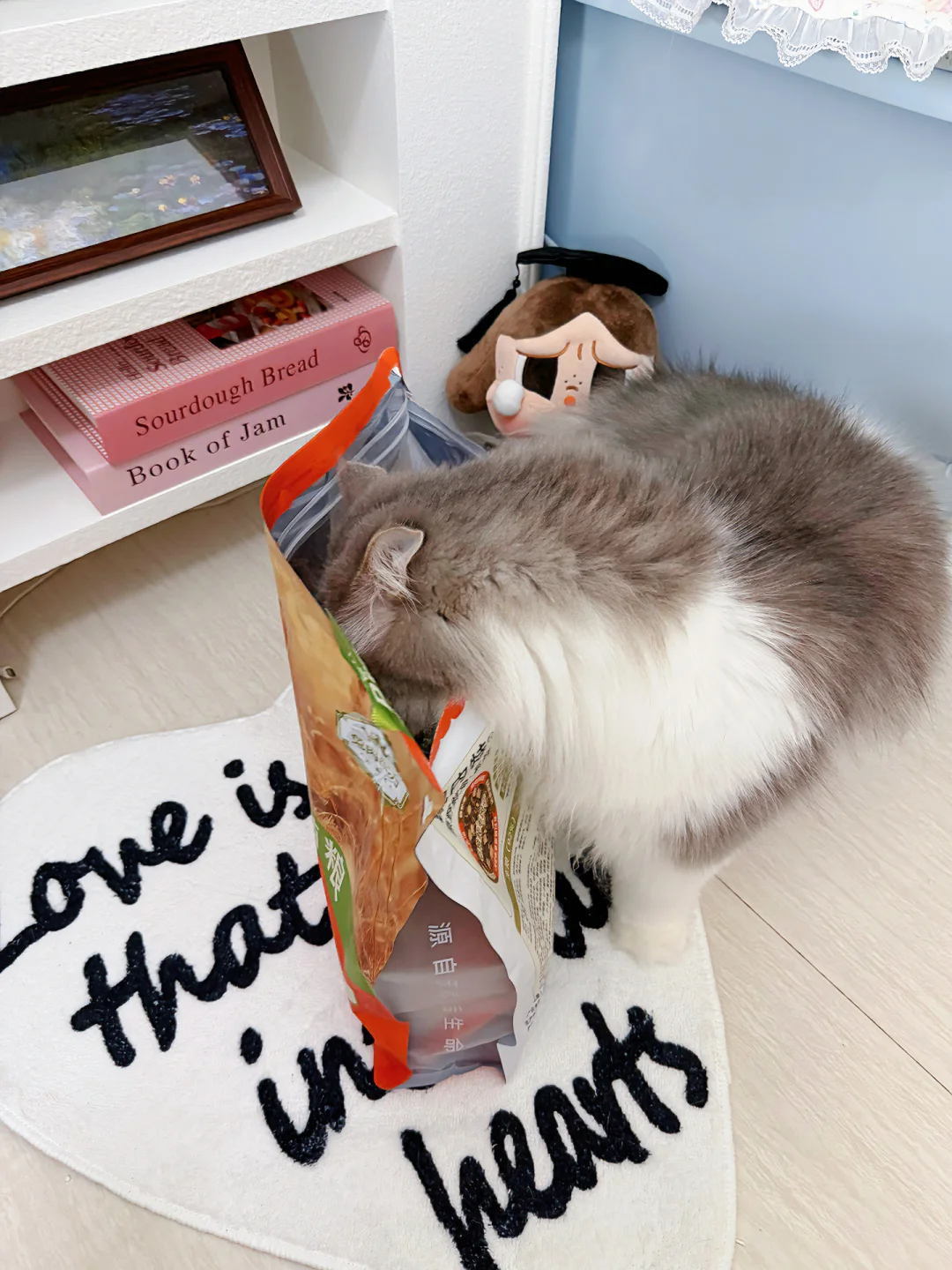 试问，到底还有谁没养出绸缎小猫？