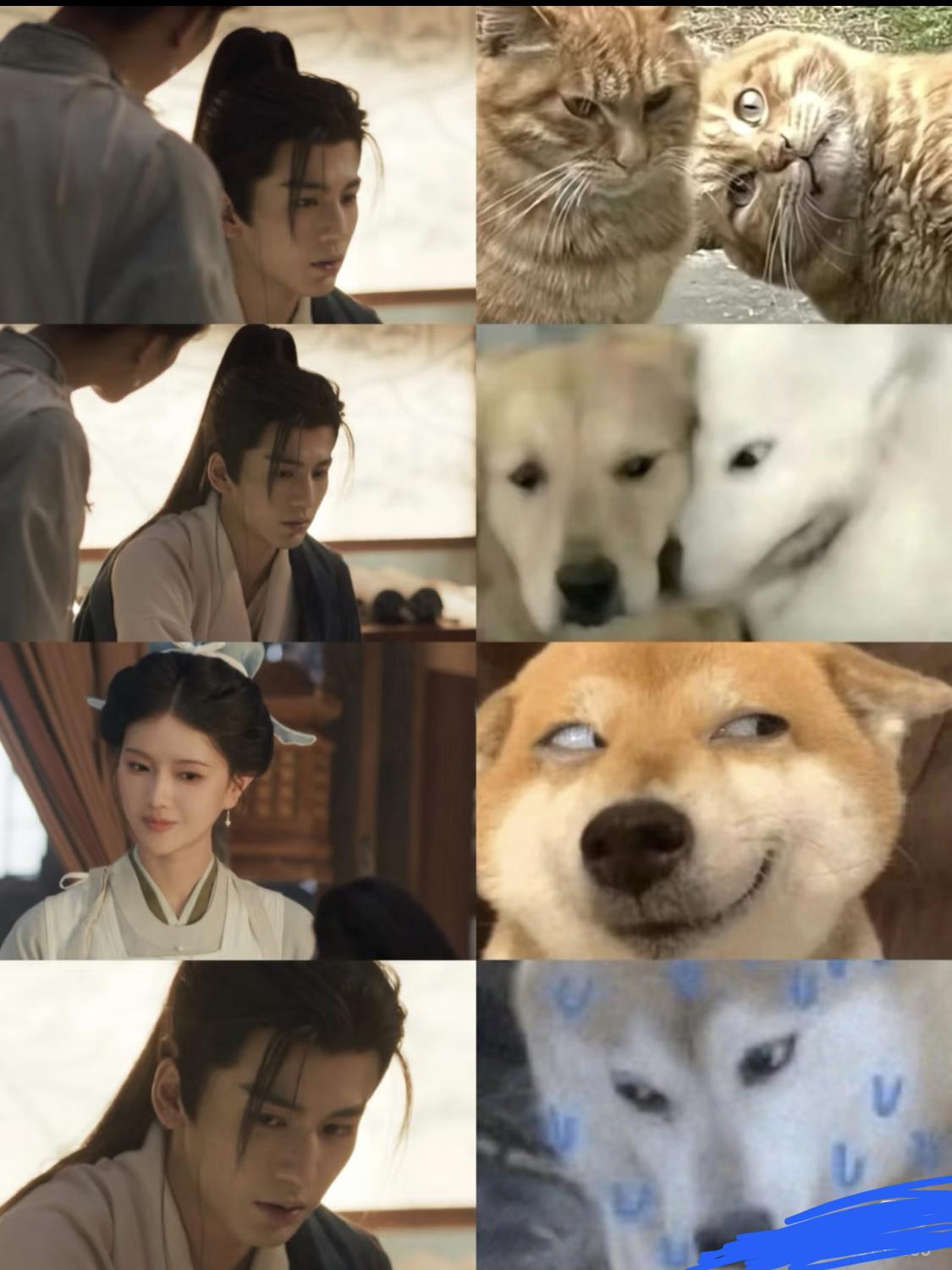 “哟丧彪就你叫咪咪啊”公主看到谢征自称言正的表情太好笑了。《逐玉》他俩是从小