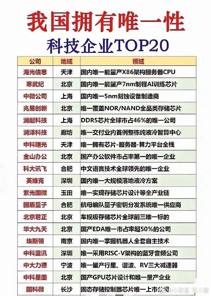 硬核突围：盘点拥有独特技术壁垒的国产科技企业这份TOP20名单汇集一批手握独家技