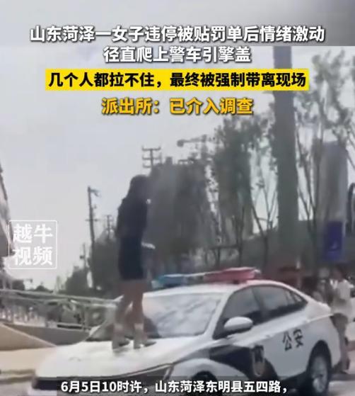 “胆子太大了！”6月5日，山东菏泽，一女网红直接爬上警车引擎盖吼叫，原因竟然是违