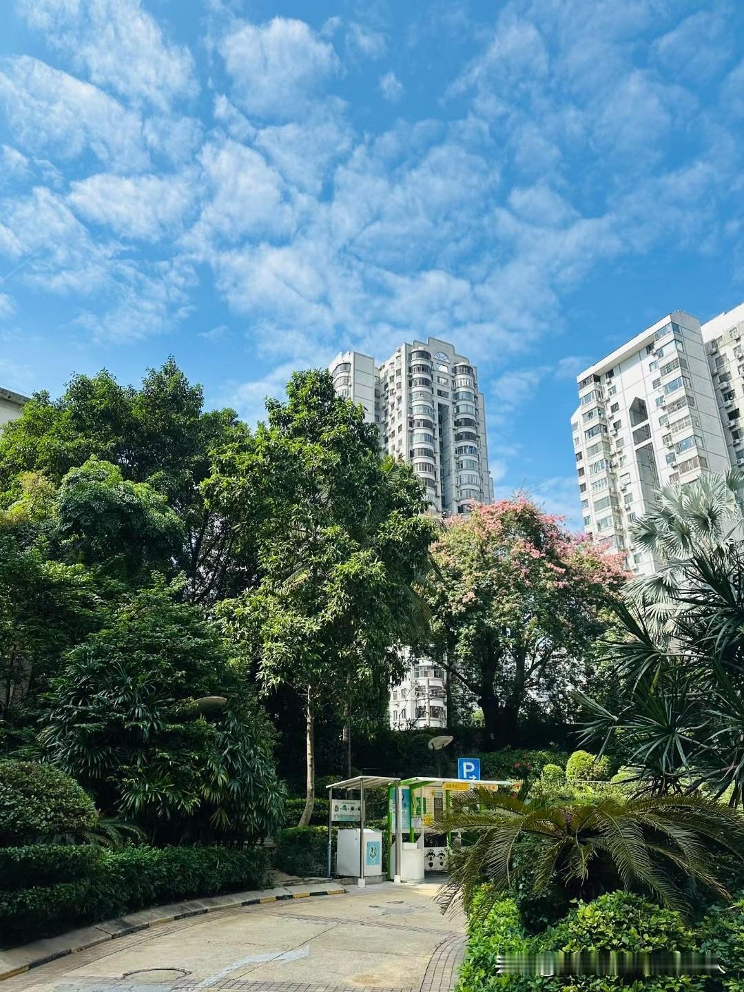 昨天同事问我，你给父母养老钱吗？我说不给，我父母每年还会给我两万块钱，不过每年我