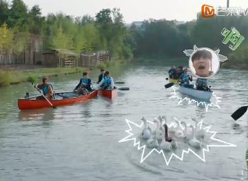 何炅想看张艺兴看天鹅的反应向往的生活黄磊划船带张艺兴看天鹅，何炅在对面想看张艺兴