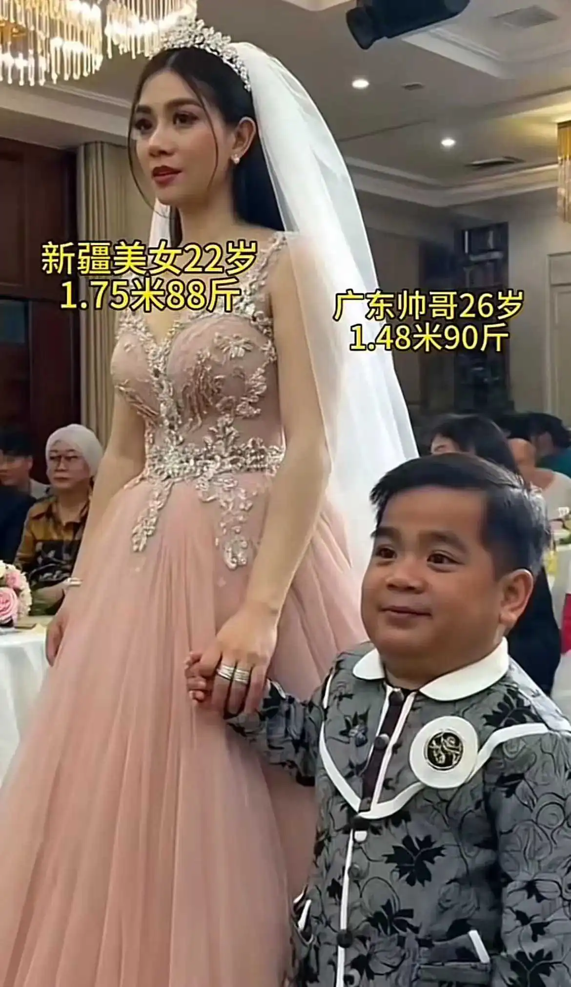 郎财女貌，也没什么毛病。