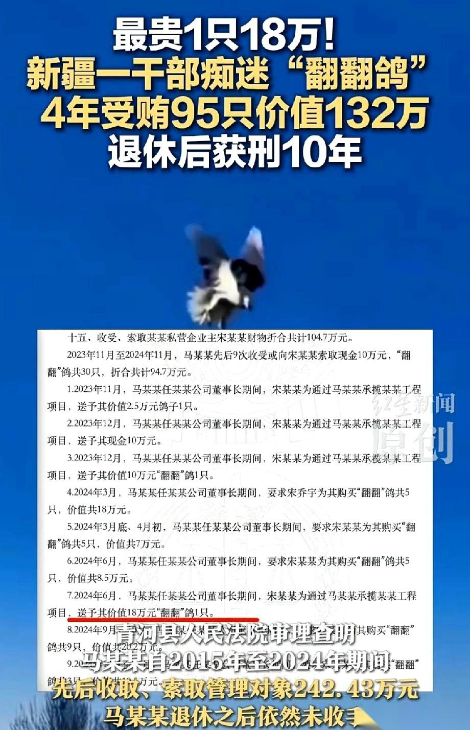 一只鸽子，18万。还不是什么神鸟，是个天生带缺陷、飞着飞着就自己往下掉的“病鸽