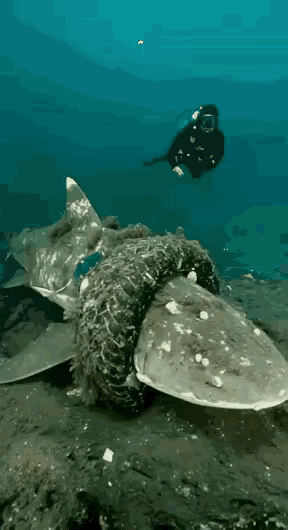 不得不说，现在的ai太牛了！