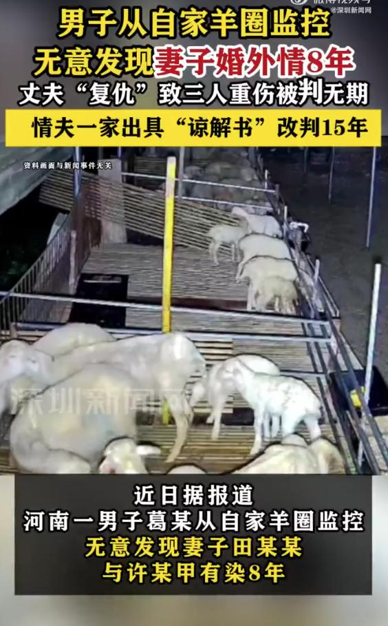 河南，一男子晚上无聊时想起用监控看一下家里的羊圈，万万没想到，羊没有问题，却从监