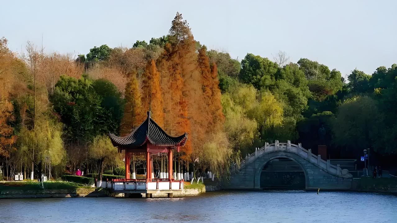 大冶这地方，历史文化底蕴那叫一个深厚，有4000年采冶史、1000多年建县史，妥