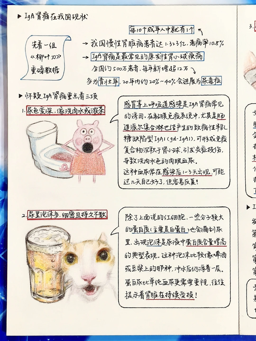 学习笔记｜怀疑IgA肾病重点看这三个