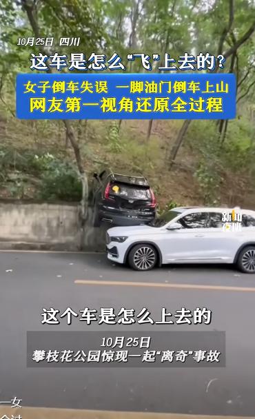 “离了个大谱!”10月26日,四川攀枝花,一女司机倒车时失误,一脚油门下去车子“