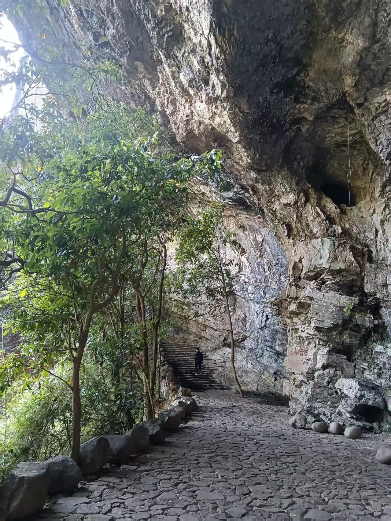 今日运势：乙巳年戊子月己未日2025.12.16日鼠：避免与人争执牛：