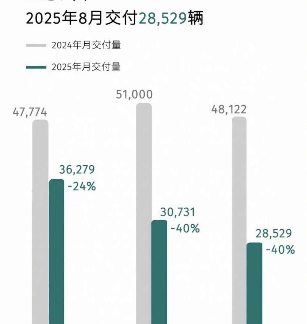 问界和理想的差距越来越大了！2024年6月，交付47774辆，202