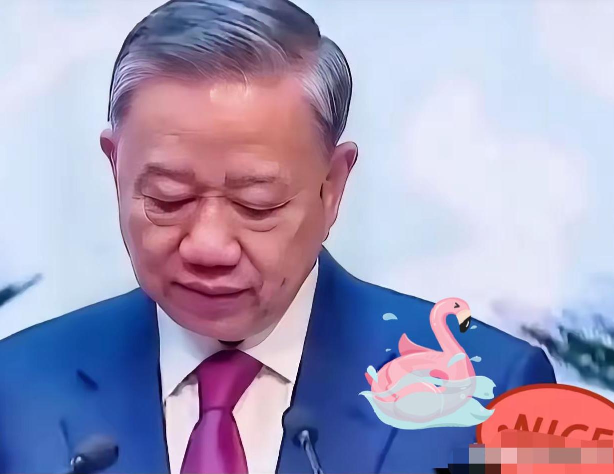 越南这场闹剧，终于还是没演下去。Vingroup宣布退出，670亿美金的高铁梦