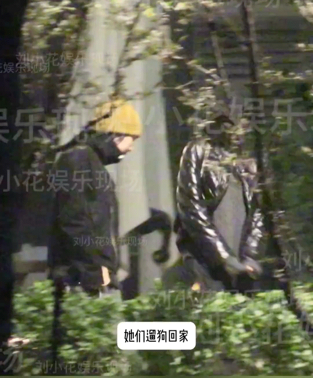 发个八卦，网上一直在传宋妍霏和窦靖童恋爱了，今天狗仔拍到她俩手牵手散步遛狗（图