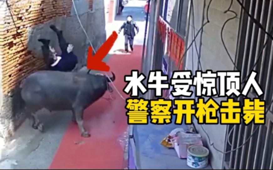 不得不说，这人倒霉运时喝凉水都会塞牙缝！我表哥和表侄去跟一户人家建房，一人牵着