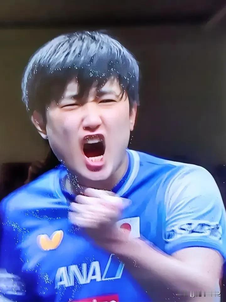 为什么很多人都不喜欢张本智和?不喜欢张本智和的主要原因一是他赢