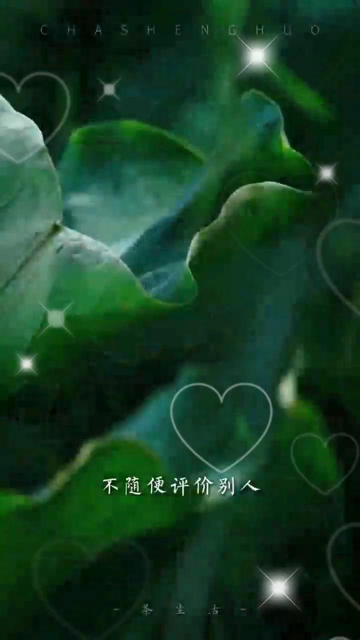 不随便评价别人是一种修养，不活在别人的评价里是一种修行。很多的时候别人对你的评价