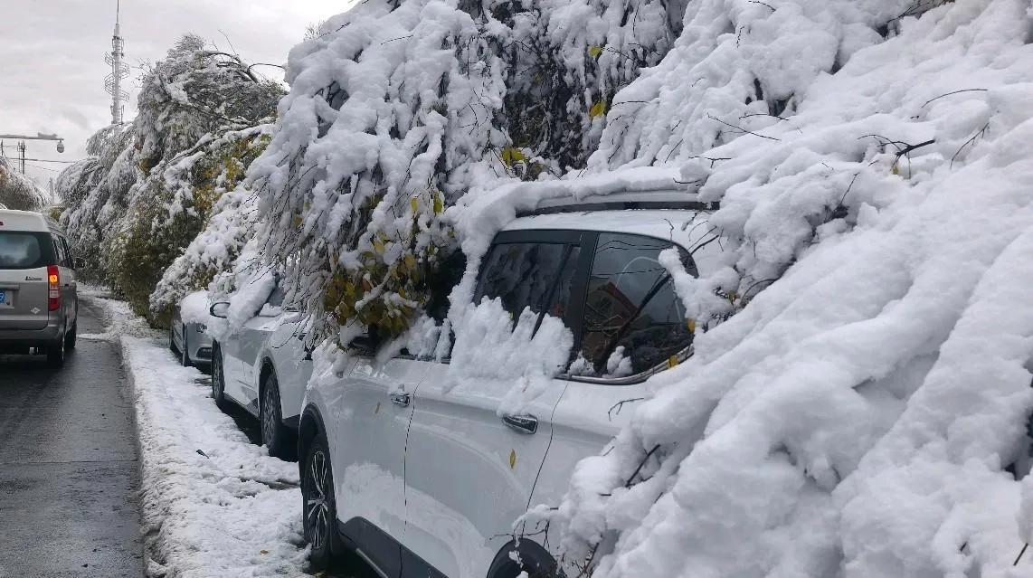 乌鲁木齐特大暴雪来袭，城市秒变“冰雪童话世界”昨天夜里，乌鲁木齐一场特大暴