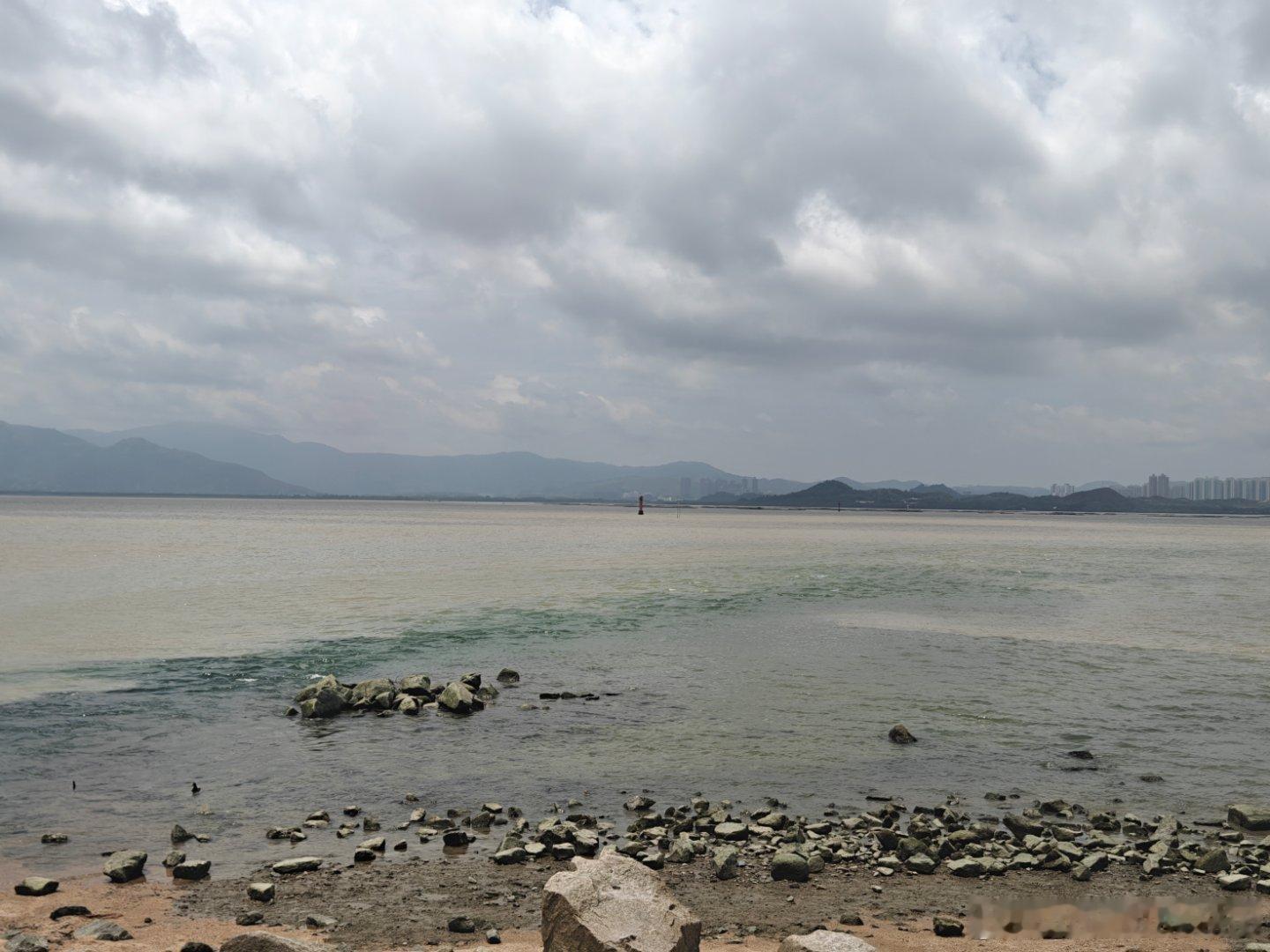 🌊从福田到南山，深圳的"山与海"两页封面，基本就是莲花山和深圳湾两座...