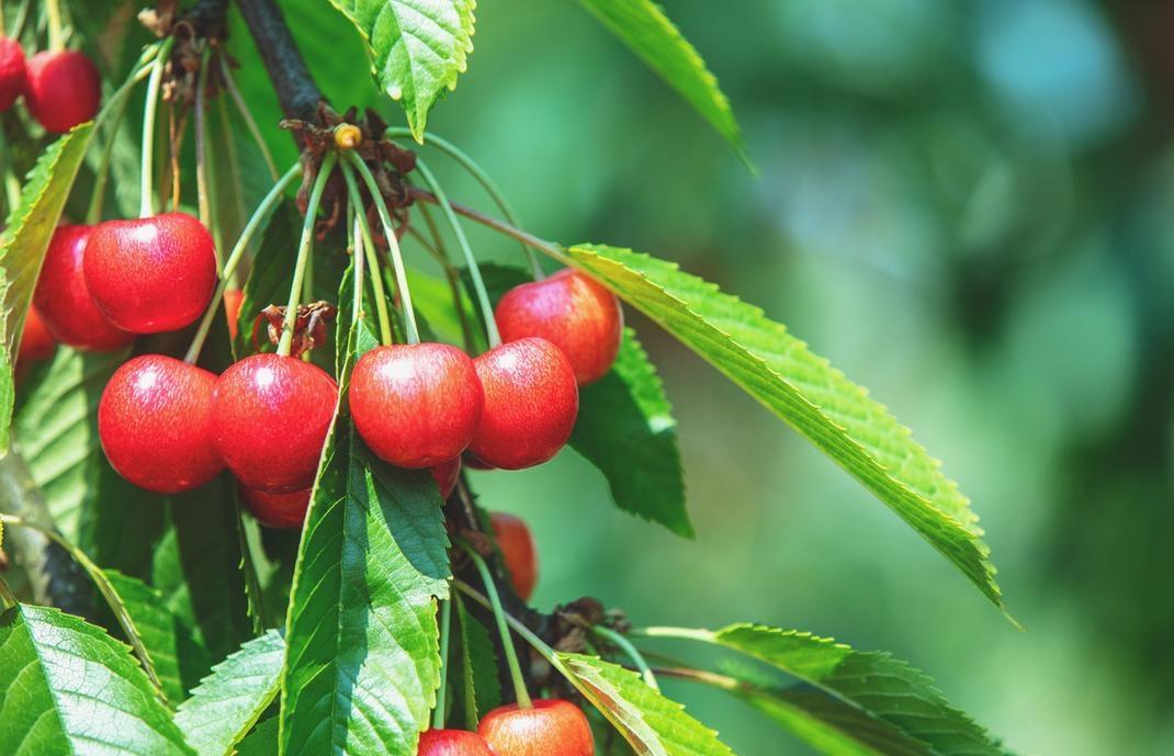 我是独生女，我妈生病的时候，我和老公轮流照顾，突然一天我婆婆说，谁的妈谁照顾，我