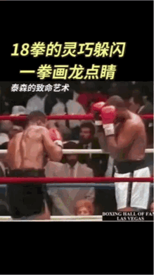 历史最强重量级拳王！一张图看懂迈克·泰森！没有一个重量级拳手能像泰森一样，在一