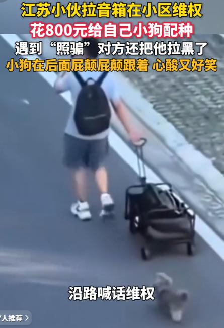 “哭笑不得！8月1日杭州网报道，江苏一小伙转给小区邻居800元，约好双方狗狗配种