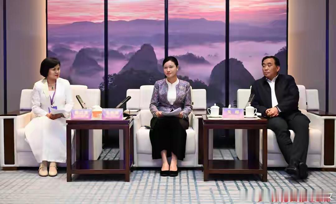 5月11日下午，怀化市委书记韦朝晖会见前来参加2026年湖南（怀化）RCEP经贸