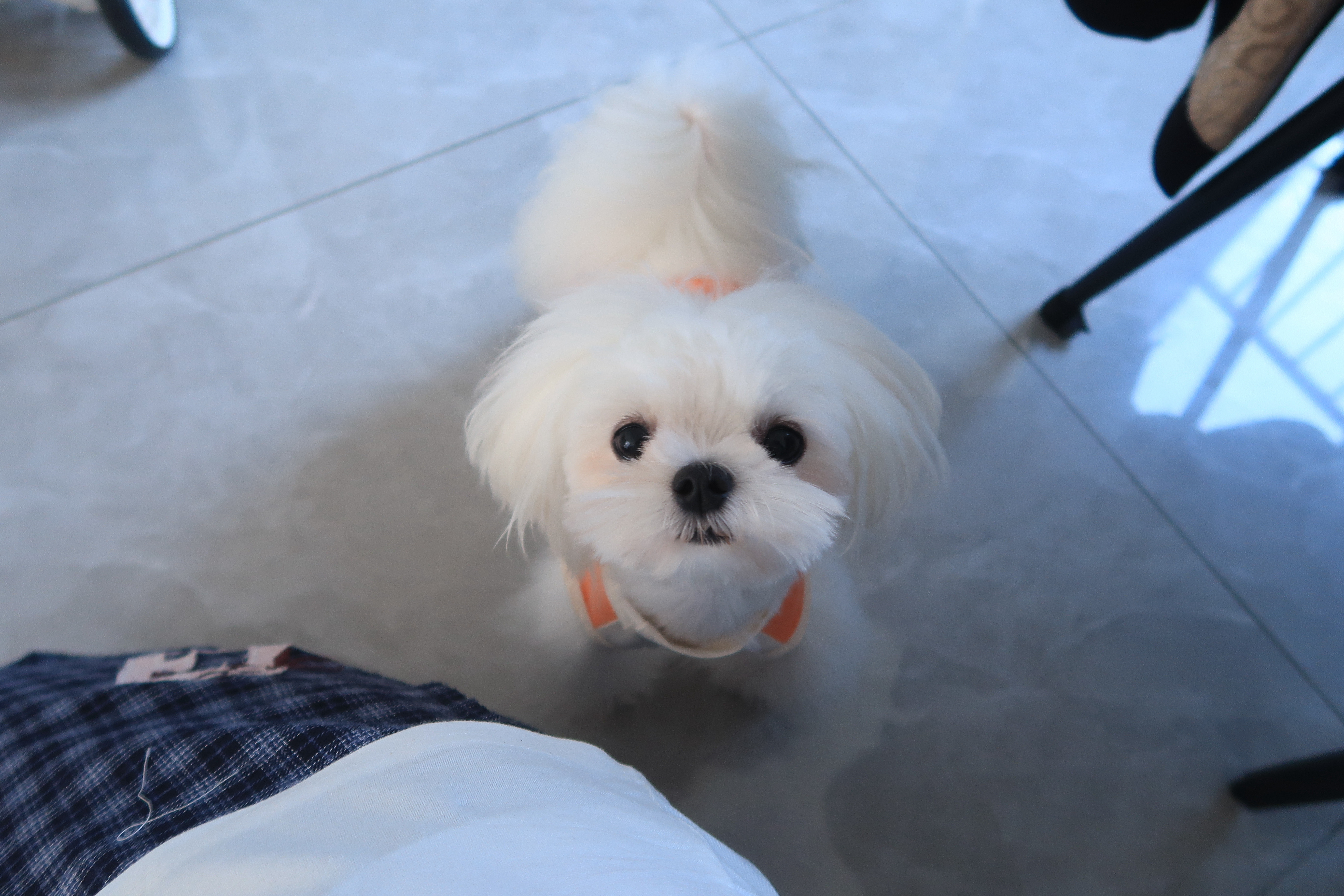 可爱疯了啊………​​​
