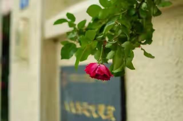 50岁以后，如何做一个不让儿女嫌弃的父母？随着女女的长大，父母会感觉到我们和