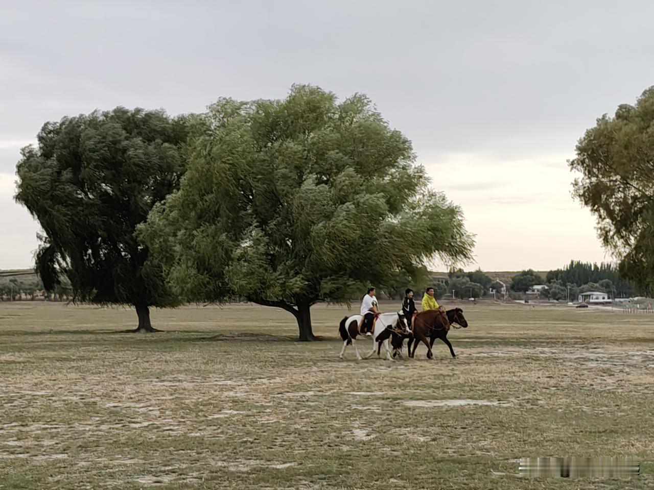 热议退休金高低，放下攀比方得自在，健康才是无价宝。近来，关于退休金的讨论总是