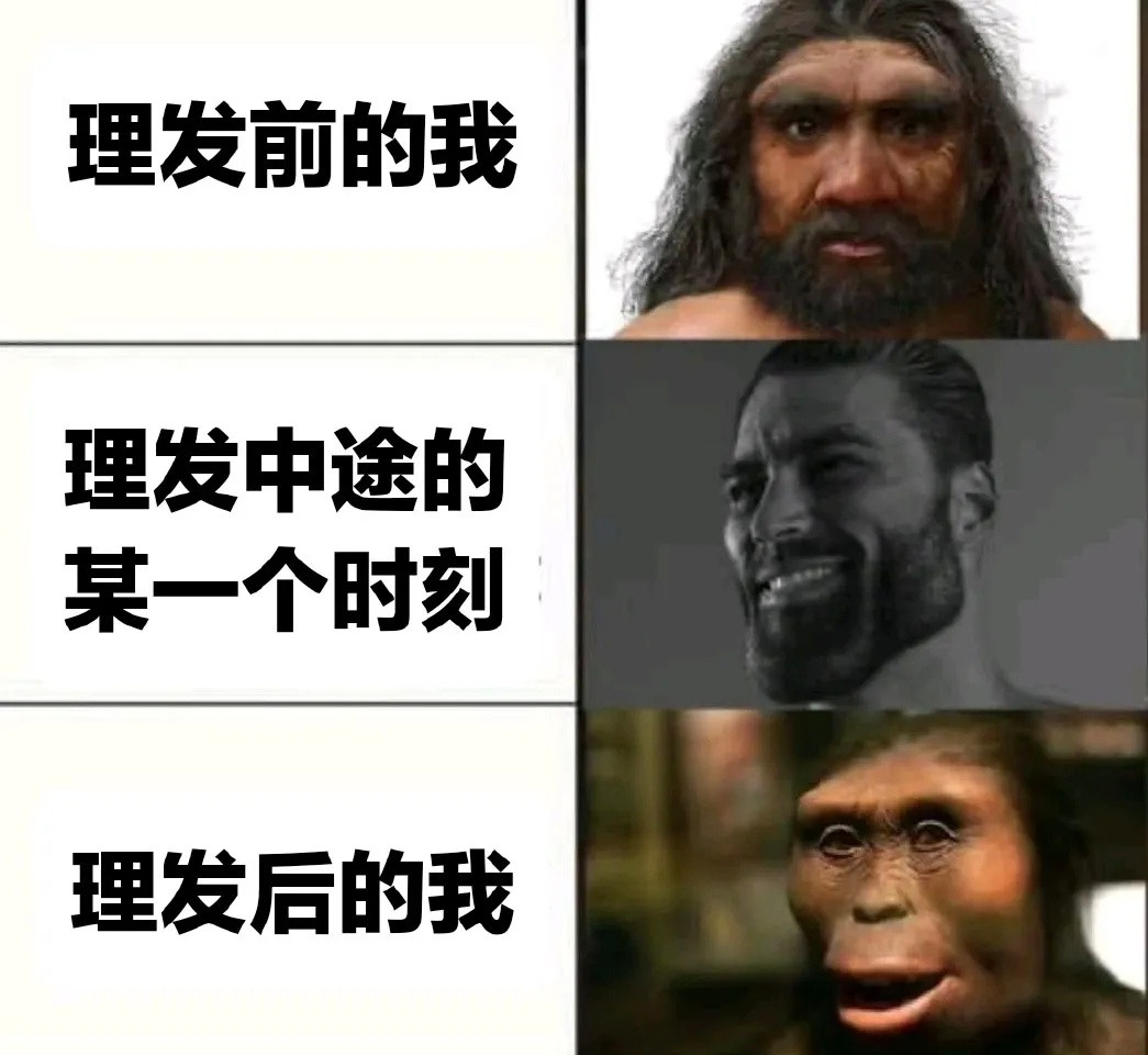 理发永远都是剪到一半最好看meme